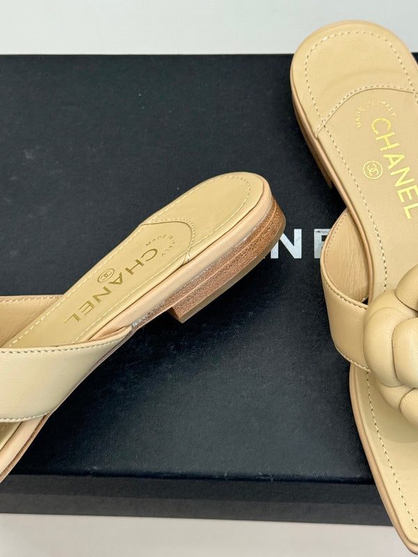 Chanel 26 Camellia Flip-Flops Beige in Cowhide 706387