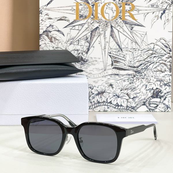 Dior Ribbon S1F Sunglasses