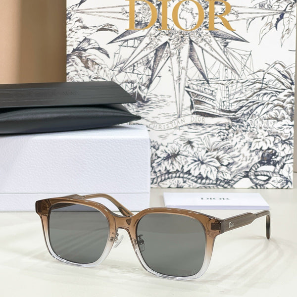 Dior Ribbon S1F Sunglasses