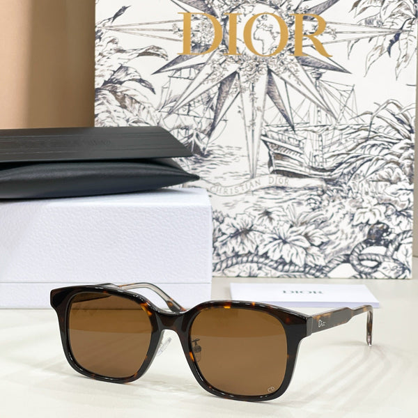 Dior Ribbon S1F Sunglasses