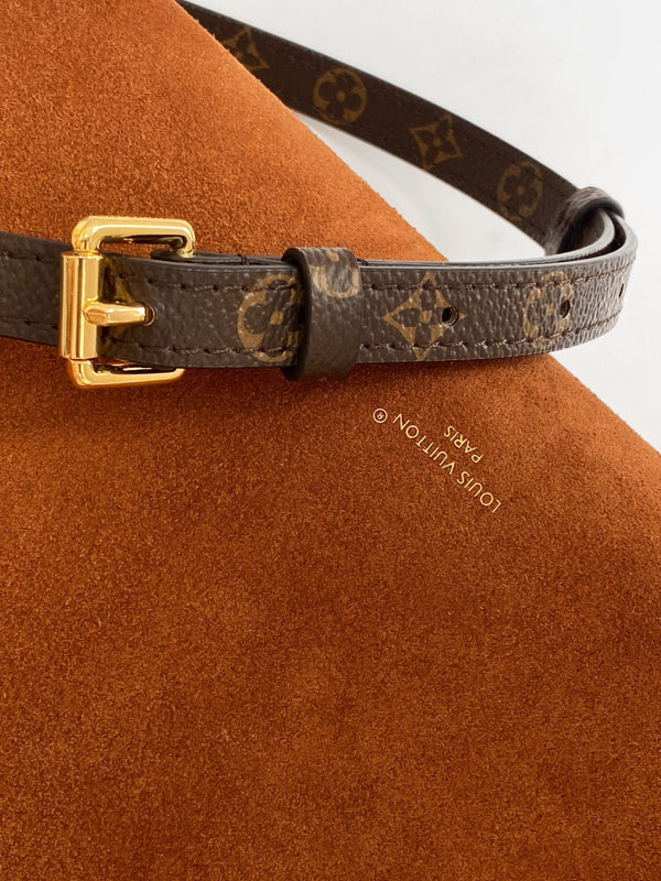 LV Side Trunk MM 23.5cm Brown Suede Canvas