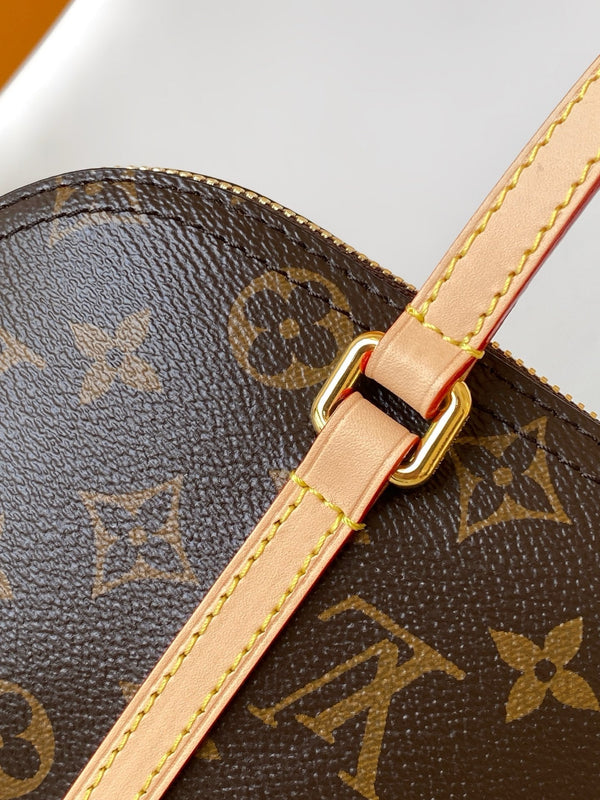 LV Hang On Bag Brown Monogram Coated Canvas &Cowhide