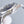 SEAMASTER AQUA TERRA 150M CO-AXIAL 41MM GAUSS-BUMBLEBEE