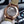 SEAMASTER AQUA TERRA 150M CO-AXIAL GMT  LEATHER STRAP