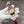 HAPPY DIAMOND 36 TWO-TONE LEATHER STRAP