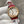 HAPPY DIAMOND 36 TWO-TONE LEATHER STRAP