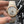 CONSTELLATION 41MM TWO-TONE GOLD STEEL GREY DIAL