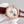 CONSTELLATION 33MM AUTOMATIC ROSE GOLD DIAMOND BEZEL