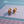 LOVE EARRINGS PINK GOLD 7.2MM