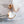 DIVAS DREAM EARRINGS PINK GOLD