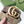 GG BELT 40MM GOLD BUCKLE BEIGE CANVAS