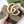 GG BELT 40MM GOLD BUCKLE BEIGE CANVAS