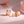 AKOYA PEARLS 6MM PINK GOLD STUD EARRINGS
