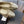 ballet flats light gold lambskin