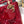MINI LADY 17 MY ABC RED CALFSKIN