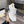 GG WHITE COW LEATHER WITH GOLD BEE TEXTURE