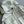 Moncle 25SS Clisson Lace Hollow Hooded Windbreaker Jacket Cream Polyester 242763