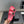 CC 25SS Flower Buckle Platform Beach Slides in Rose Pink High-Mercerized Sardine