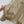 BV 25S Jacket Sheepskin Neck in Beige Cotton