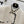 CC 25 Salzburg Wool Soft Tweed Braided White Jacket
