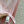 CE Rotating Arch Long-Sleeved T-shirt Pink Cotton