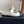 CC 25SS Mary Jane Slippers White Sheepskin 473428