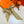 HM Twilly Small Silk Scarf 825650