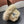 PRA 25 PLUSH BUCKET HAT 829806