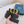 CD Belt 35mm Black Blue Leather Gold Buckle