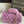 Mini CF 25 Flap Bag Purple Shearling