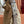 GG 25FW Beatrix Horsebit Handbag 40cm Brown Canvas GHW