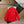 Canada Goose Children Parka Jacket Red Fox Fur Polyester Cotton