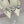 Jimmy Choo 26WF Pointed Toe Rhinestone Bow Chunky Heel White  Sheepskin 573542