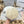 Chanel New Wool Beret White 960040