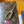 LV Vivienne Winter Holiday small card/key holder Brown Canvas 274927