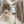 CELINE Shearling Brown Coat with Wool Trim 333327