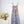 Zimmerman 26 Dress 361