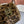 Chanel Korean Style Leopard Print Brown Plush Hat 979912