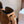 Celine New Camille 16 Soft Brown Bag in Calfskin 276174