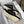 Chane 26 Platform Slippers Black in Patent Leather with Wool 602465