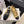 CC Pearl Heel with Rhinstone Clasp Mary Janes Beige Cowhide 602354