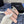 CC Women's Belt 3.0CM Pink Cowhide 615095
