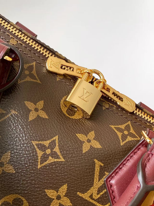 LV Speedy Soft 30 Boho Handbag Brown in Monogram Canvas 278108