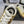 Chanel Coco Baseball Shoes Metallic Gold in Cowhide 611672