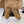 CC 26 Furry Loafer Brown Suede Kidskin and Shearling Lambskin 611596