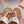 Miu Flip-flot Flat Sandal Brown White in Cowhide 615340