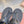 Miu Flip-flot Flat Sandal Black in Cowhide 615338