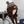Prada 25 Cute Bear Ears Hat Dark Brown Multicolor Knitted Woolen Fabric 125502