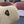 Prada 26 Prada Straw Hat Cream Knitted Woolen Fabric 123227