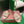 Loro Piana 26 Slippers Beige Wish Sheepskin Fabric 632137